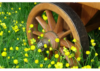 The Gypsy Caravan Company