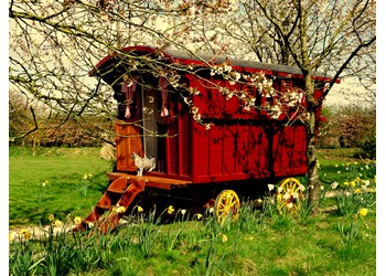 The Gypsy Caravan Company